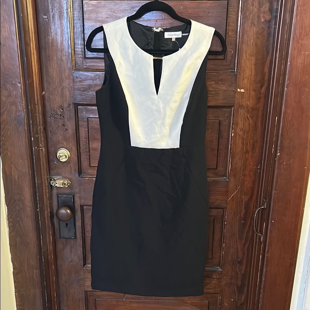 Calvin Klein Black and Cream sheath Dress